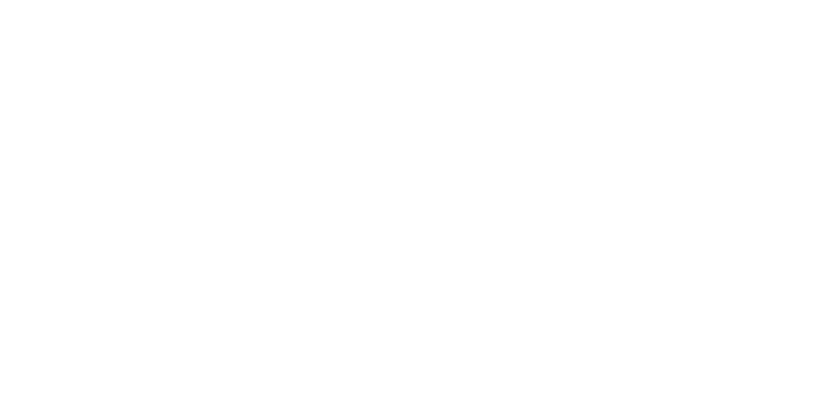 CMD Global Partners